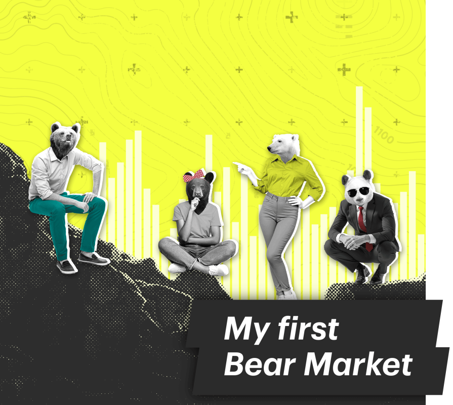 My first Bear Market
