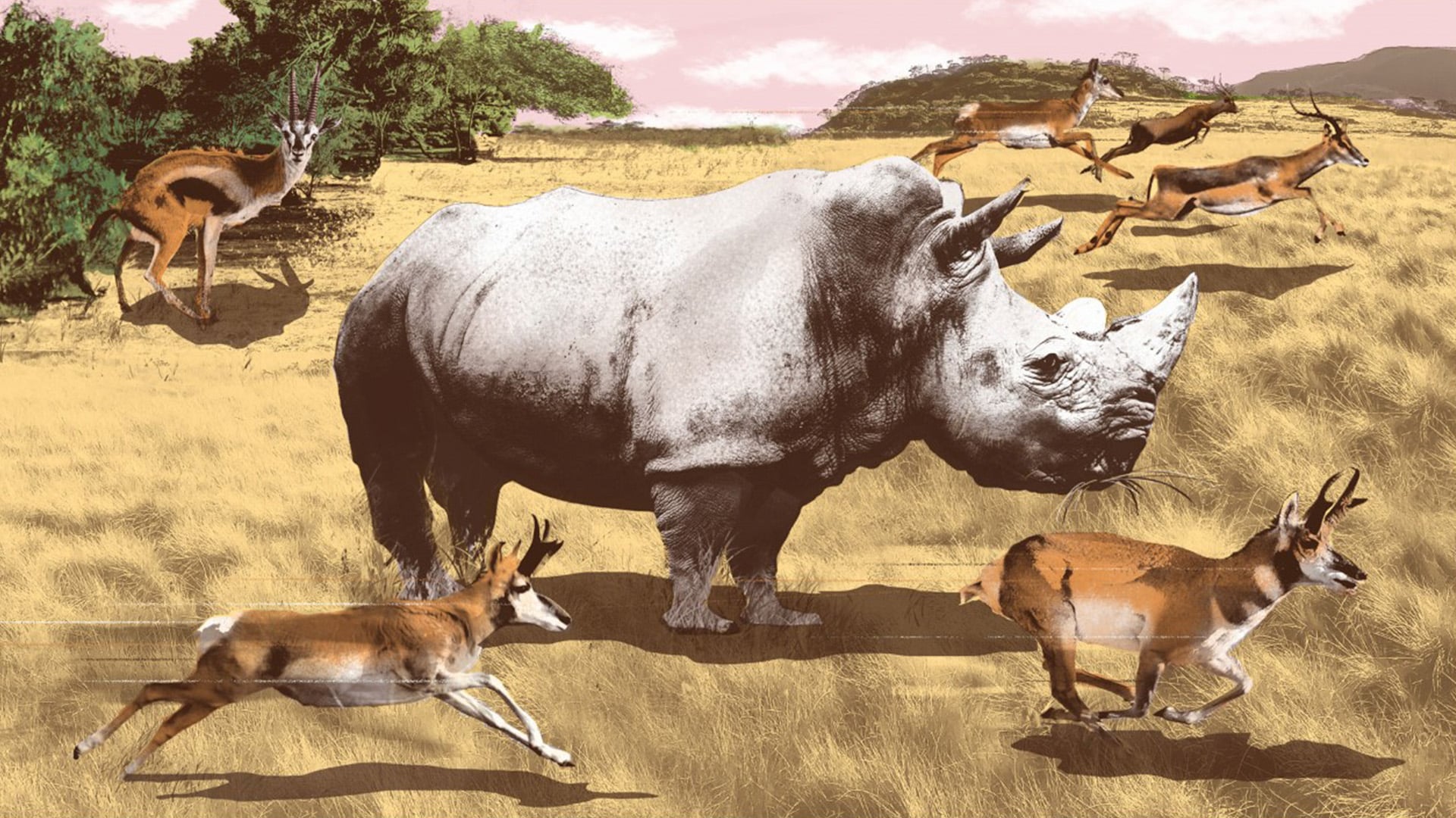Illustration featuring a happy rhinoceros watching gazelles panic and run past