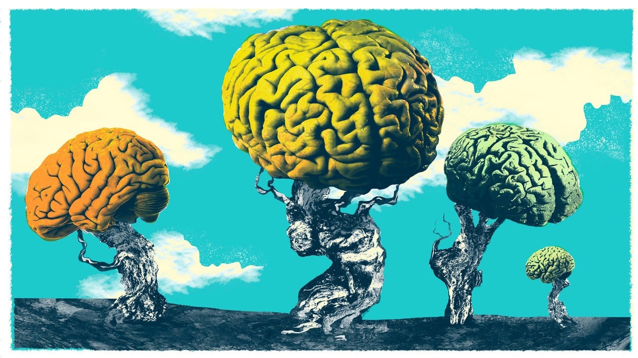 Illustration of four trees whose canopies resemble brains.
